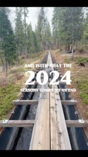 This year has been a rollercoaster to say the least. At times it felt like I was cut into a million pieces and scattered out of a slingshot, and somehow had to pull myself back together. This year has also acted like a forge - some relationships were hardened, some burned, and I was wrought and formed into something new. Change is hard, but I came out stronger on the other side. I’m looking forward to the promises of 2025. Happy New Year’s, everyone.